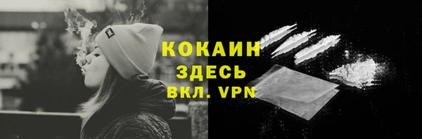 2c-b Богородицк