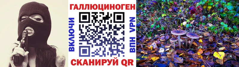 Галлюциногенные грибы Psilocybe мориарти как зайти Белинский